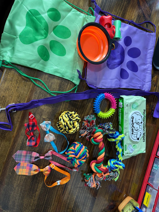 Premade Mystery Bundle (Puppy Dog)